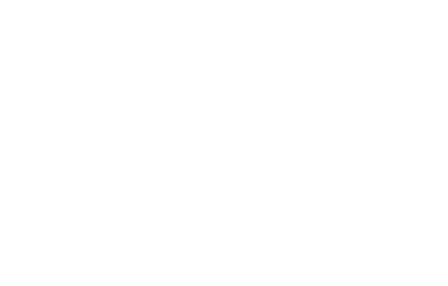 Spot
